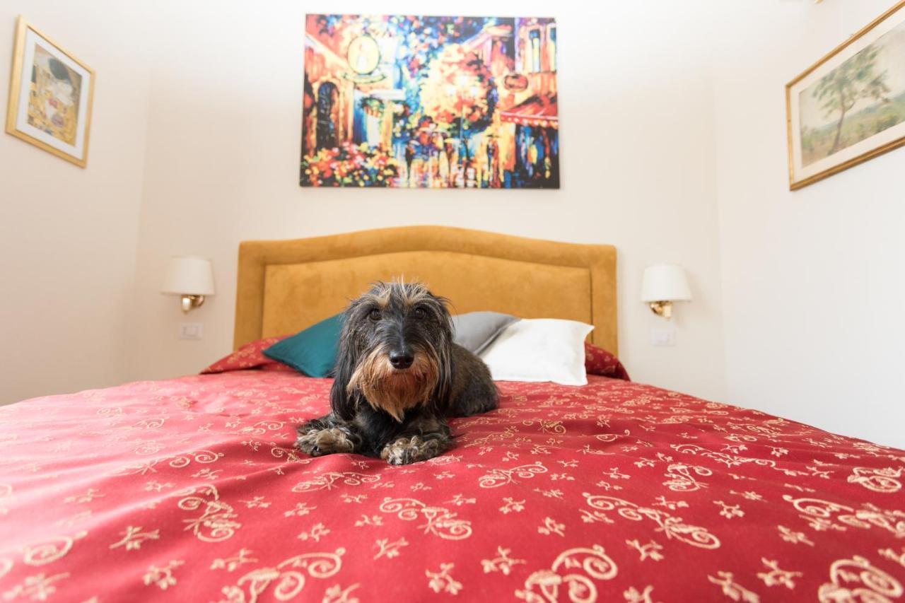 Dreaming In Rome - Vittorio Veneto Guest House Eksteriør billede